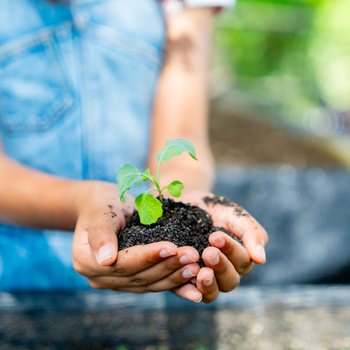 Агротехнологические классы в общеобразовательных организациях - fgospostavki.ru - Рязань