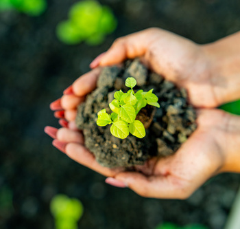 Инженерные биологические системы: междисциплинарное образование в школах - fgospostavki.ru - Рязань