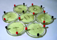 Демонстрационный комплект «Силовые линии электрического поля разных систем зарядов» - fgospostavki.ru - Рязань