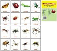 Раздаточные карточки "Насекомые" - fgospostavki.ru - Рязань