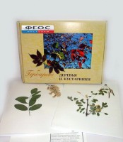 Гербарий "Деревья и кустарники" (20 видов) - fgospostavki.ru - Рязань