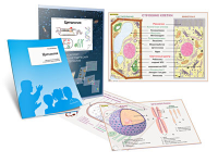 Комплект кодотранспарантов "Цитология" - fgospostavki.ru - Рязань