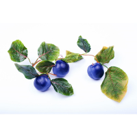 Ветка муляжей "Сливы" - fgospostavki.ru - Рязань