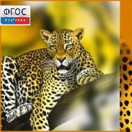 Зоология. (Цифровая база изображений) - fgospostavki.ru - Рязань