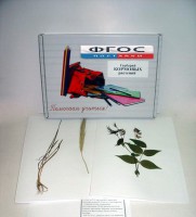 Гербарий "Кормовые растения" (20 видов) - fgospostavki.ru - Рязань