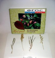 Гербарий "Культурные растения" (28 видов) - fgospostavki.ru - Рязань