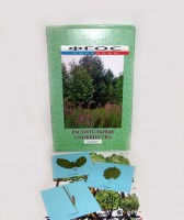 Гербарий "Растительные сообщества" (9 видов х 5 планшетов) - fgospostavki.ru - Рязань