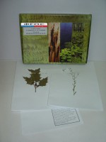 Гербарий "Сорные растения" (24 вида) - fgospostavki.ru - Рязань