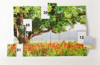 Магнитная таблица умножения "Поле" - fgospostavki.ru - Рязань