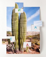 Магнитная орфография (безударные гласные, 1 класс) "Кактус" - fgospostavki.ru - Рязань