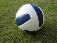 Мяч волейбольный звенящий - fgospostavki.ru - Рязань