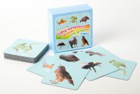 Набор магнитных карточек "Устный счет" (фон голубой) - fgospostavki.ru - Рязань