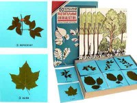 Гербарий "Растительные сообщества" - fgospostavki.ru - Рязань