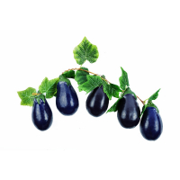 Ветка муляжей "Баклажаны" - fgospostavki.ru - Рязань