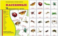 Демонстрационные карточки "Насекомые" - fgospostavki.ru - Рязань