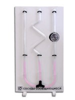 Сосуды сообщающиеся (вариант 2) - fgospostavki.ru - Рязань