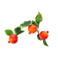 Ветка муляжей "Гранат" - fgospostavki.ru - Рязань