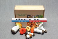 Набор муляжей грибов - fgospostavki.ru - Рязань