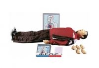 "Максим III-01" тренажер сердечно-легочной и мозговой реанимации - fgospostavki.ru - Рязань