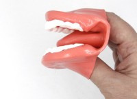 Муляж рта (мини) - fgospostavki.ru - Рязань