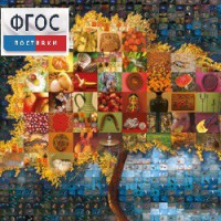 Начальная школа. Иностранный язык. (Цифровая база изображений) - fgospostavki.ru - Рязань