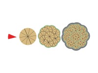 Магнитная математика Наталии Пятибратовой (Числовые фигуры) - fgospostavki.ru - Рязань