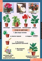 Комплект таблиц. Окружающий мир 1 класс. - fgospostavki.ru - Рязань