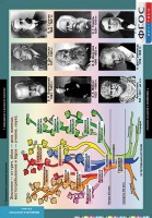 Комплект таблиц. Биология. Введение в экологию. - fgospostavki.ru - Рязань