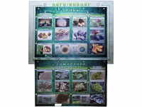 Комбинированный модульный комплекс "Лого-биолог" - fgospostavki.ru - Рязань