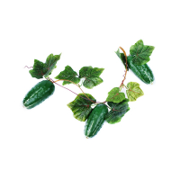 Ветка муляжей "Огурцы" - fgospostavki.ru - Рязань