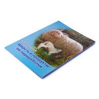 Коллекция "Шерсть и продукты ее переработки" - fgospostavki.ru - Рязань