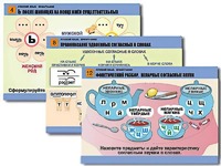Комплект таблиц "Русский язык. Орфография" (14 таблиц, формат А1, ламинированные) - fgospostavki.ru - Рязань