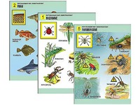 Комплект таблиц "Окружающий мир. Животный мир" (8 таблиц, А1, ламинированные) - fgospostavki.ru - Рязань