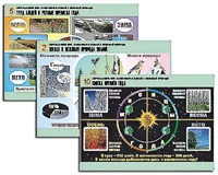 Комплект таблиц "Окружающий мир. Изменения в живой и неживой природе" (10 таблиц, А1, ламинированные) - fgospostavki.ru - Рязань