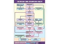 Таблица демонстрационная "Генетическая связь органических веществ" (винил 100x140) - fgospostavki.ru - Рязань
