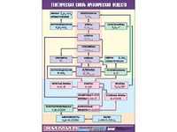 Таблица демонстрационная "Генетическая связь органических веществ" (винил 70x100) - fgospostavki.ru - Рязань