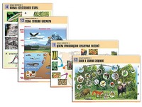 Комплект таблиц по биологии демонстрационных "Общая биология 2" (14 таблиц, формат А1, ламинированные) - fgospostavki.ru - Рязань