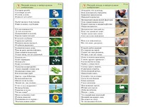 Комплект карточек (10) "Обучающий калейдоскоп. Природа" - fgospostavki.ru - Рязань