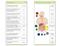 Комплект карточек (10) "Обучающий калейдоскоп. Человек" - fgospostavki.ru - Рязань