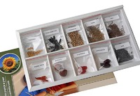 Коллекция "Плоды сельскохозяйственных растений" - fgospostavki.ru - Рязань