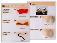 Коллекция "Шерсть" (начальная школа) - fgospostavki.ru - Рязань