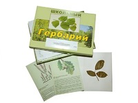 Гербарий "Дикорастущие растения" (30 видов, с иллюстрациями) - fgospostavki.ru - Рязань
