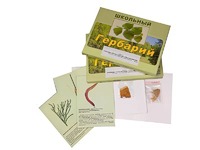 Гербарий "Основные группы растений. Грибы. Лишайники" (53 листа, с иллюстрациями и фотографиями) - fgospostavki.ru - Рязань