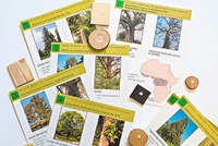 Коллекция "Древесные растения и их распространение" (демонстрационная) - fgospostavki.ru - Рязань