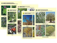 Гербарий фотографический по географии - fgospostavki.ru - Рязань