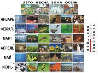 Фенологические наблюдения - fgospostavki.ru - Рязань