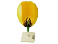 Модель цветка тюльпана - fgospostavki.ru - Рязань