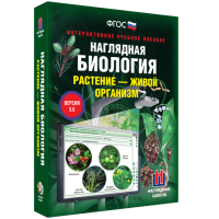 Наглядная биология. Растение - живой организм - fgospostavki.ru - Рязань