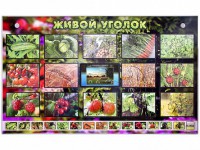 Комплект оборудования "Живой уголок" (растения) с тифлопереводом и сурдокомментариями - fgospostavki.ru - Рязань