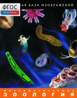 Зоология. Микрофотографии. (Цифровая база изображений) - fgospostavki.ru - Рязань